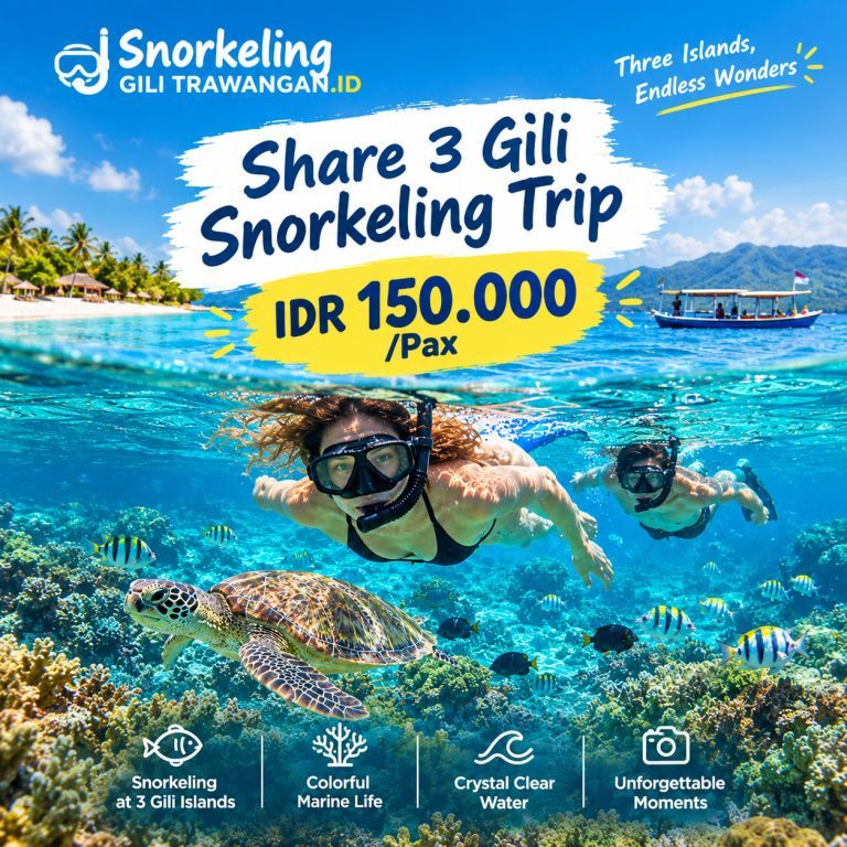 Share Boat Three Gili Snorkeling