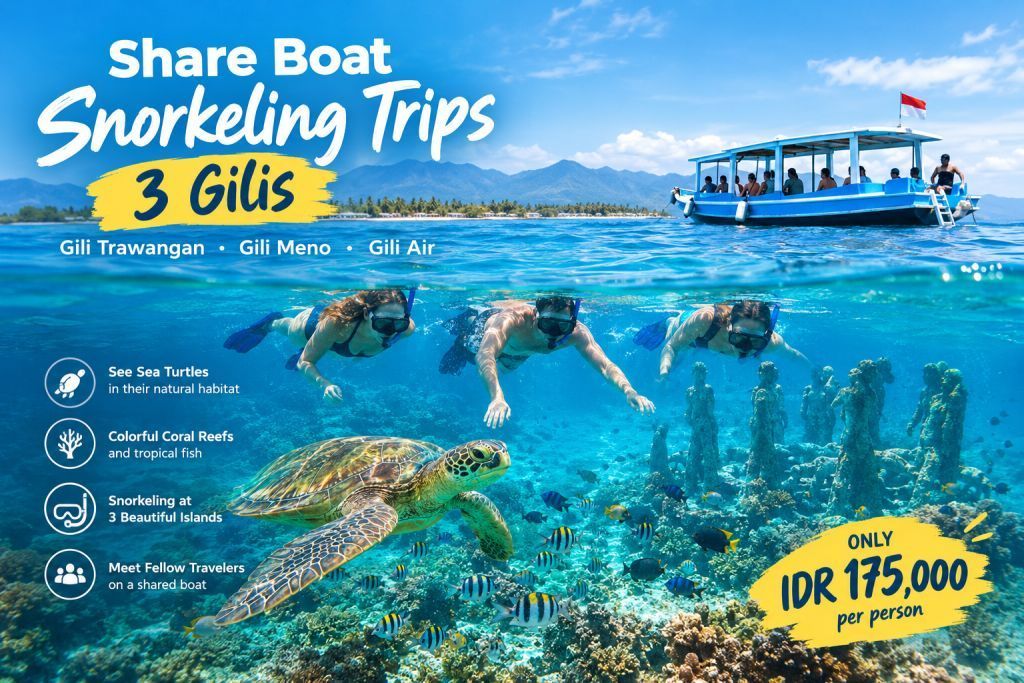 Share Snorkeling Trips 3 Gilis
