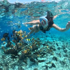 Snorkeling Gili Trawangan (2)