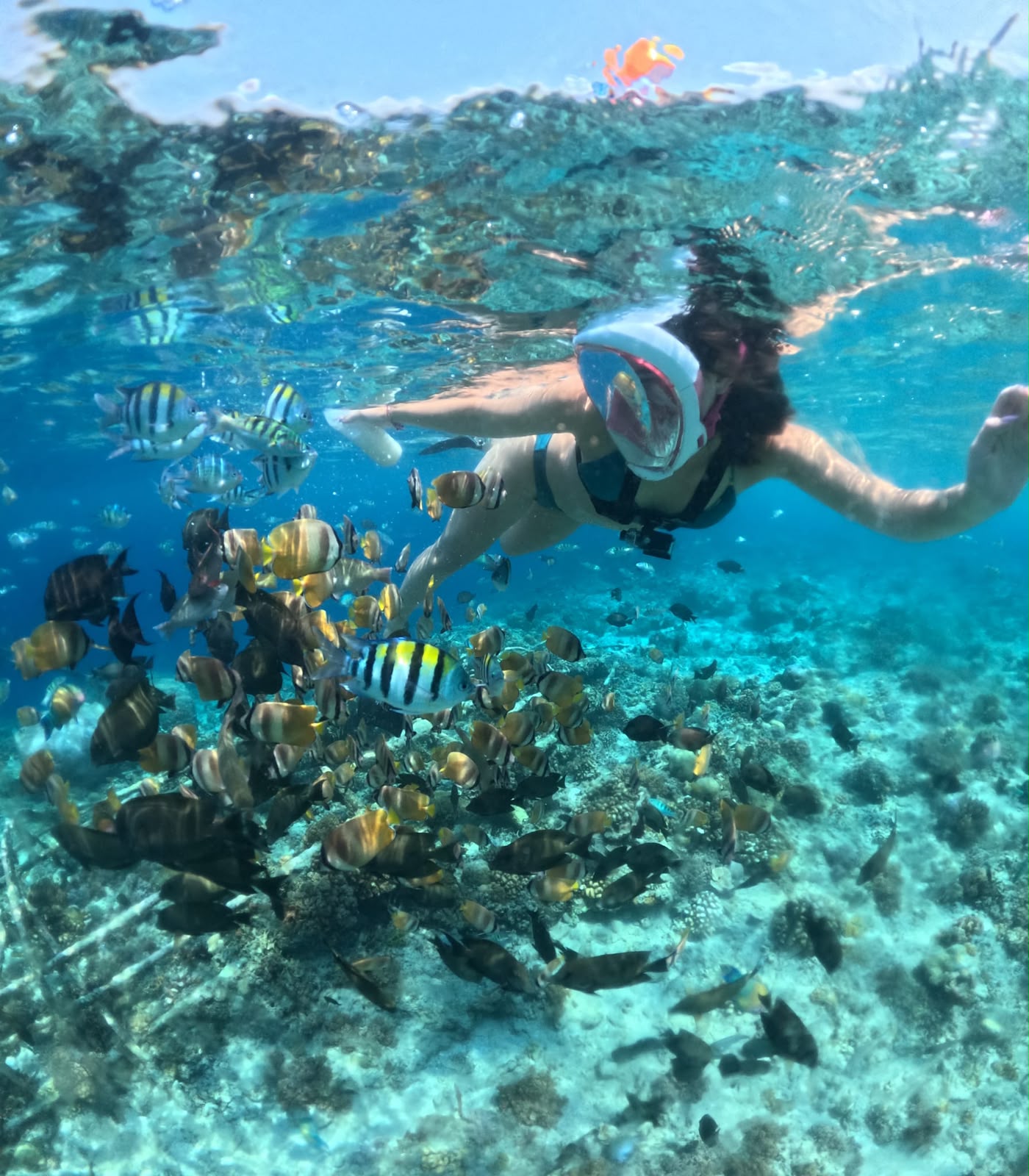 Snorkeling Gili Trawangan