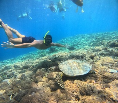 Snorkeling Gili Trawangan Coral